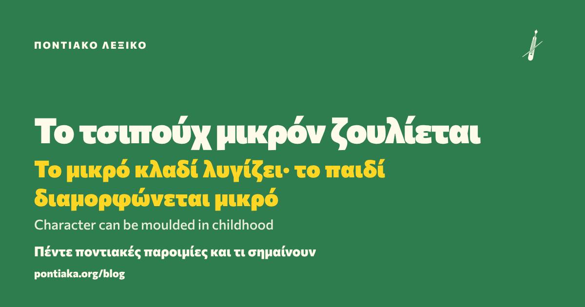 Το τσιπούχ μικρόν ζουλίεται